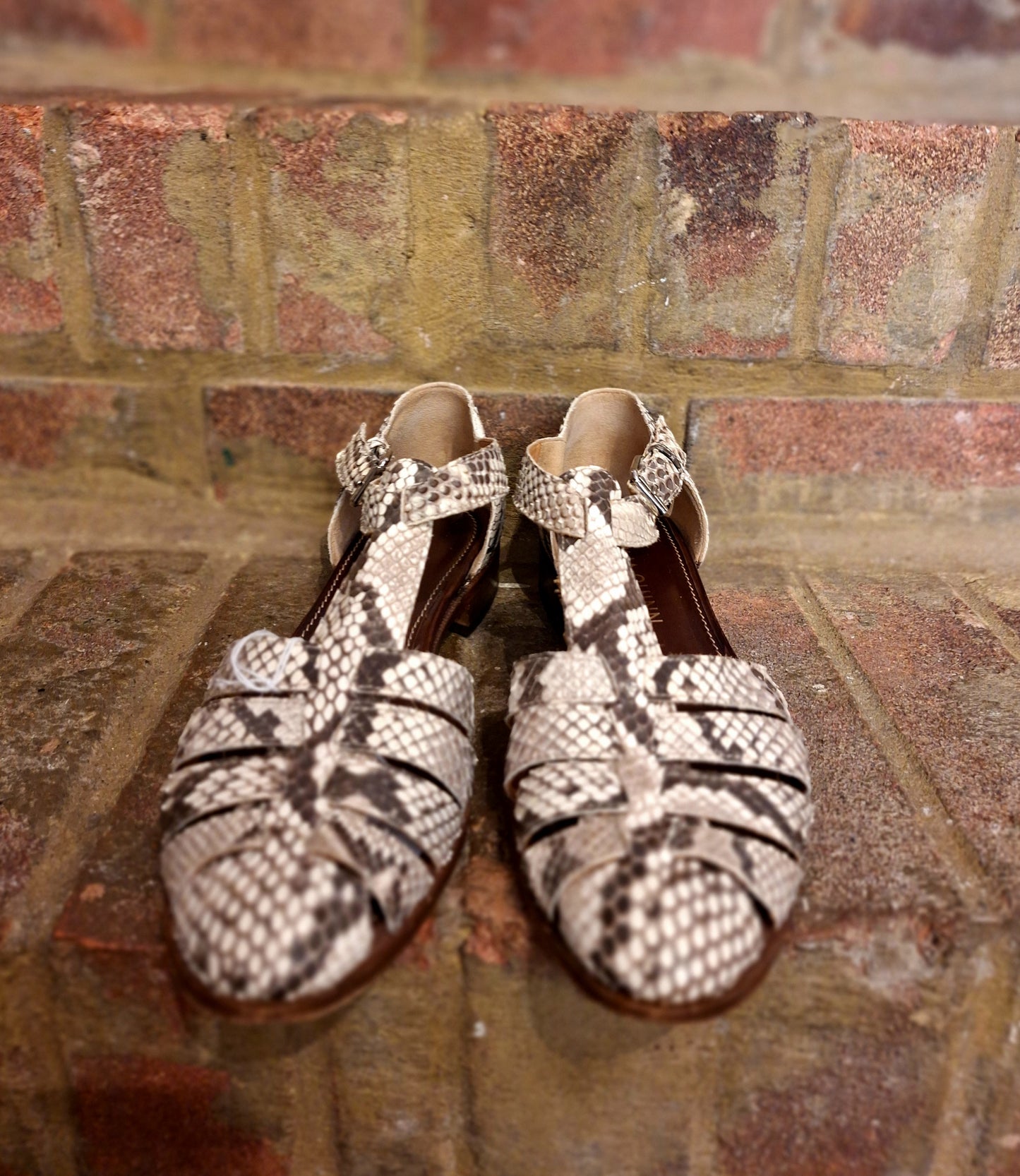 Cecilia Quinn snake print shoes 5