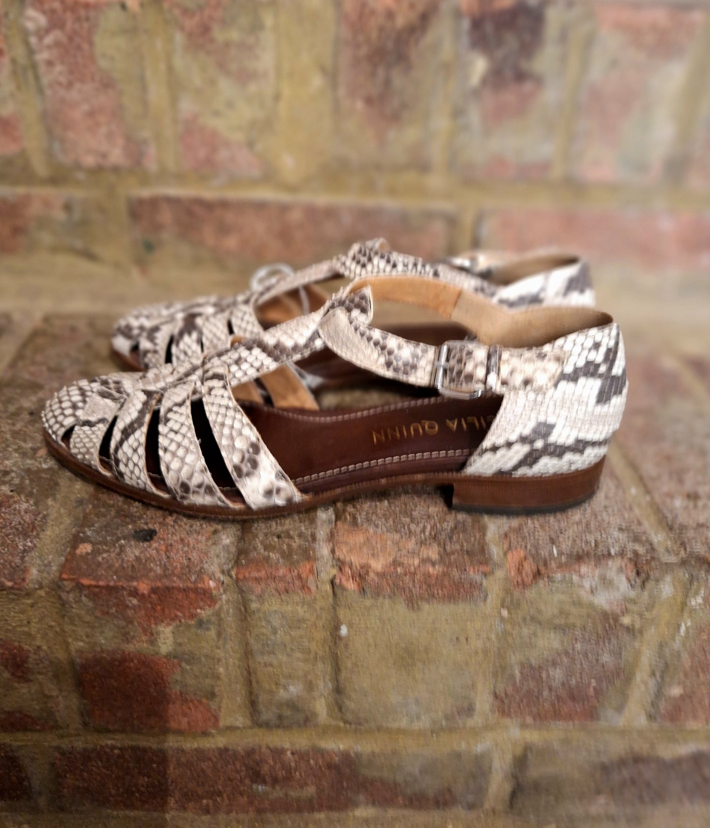 Cecilia Quinn snake print shoes 5