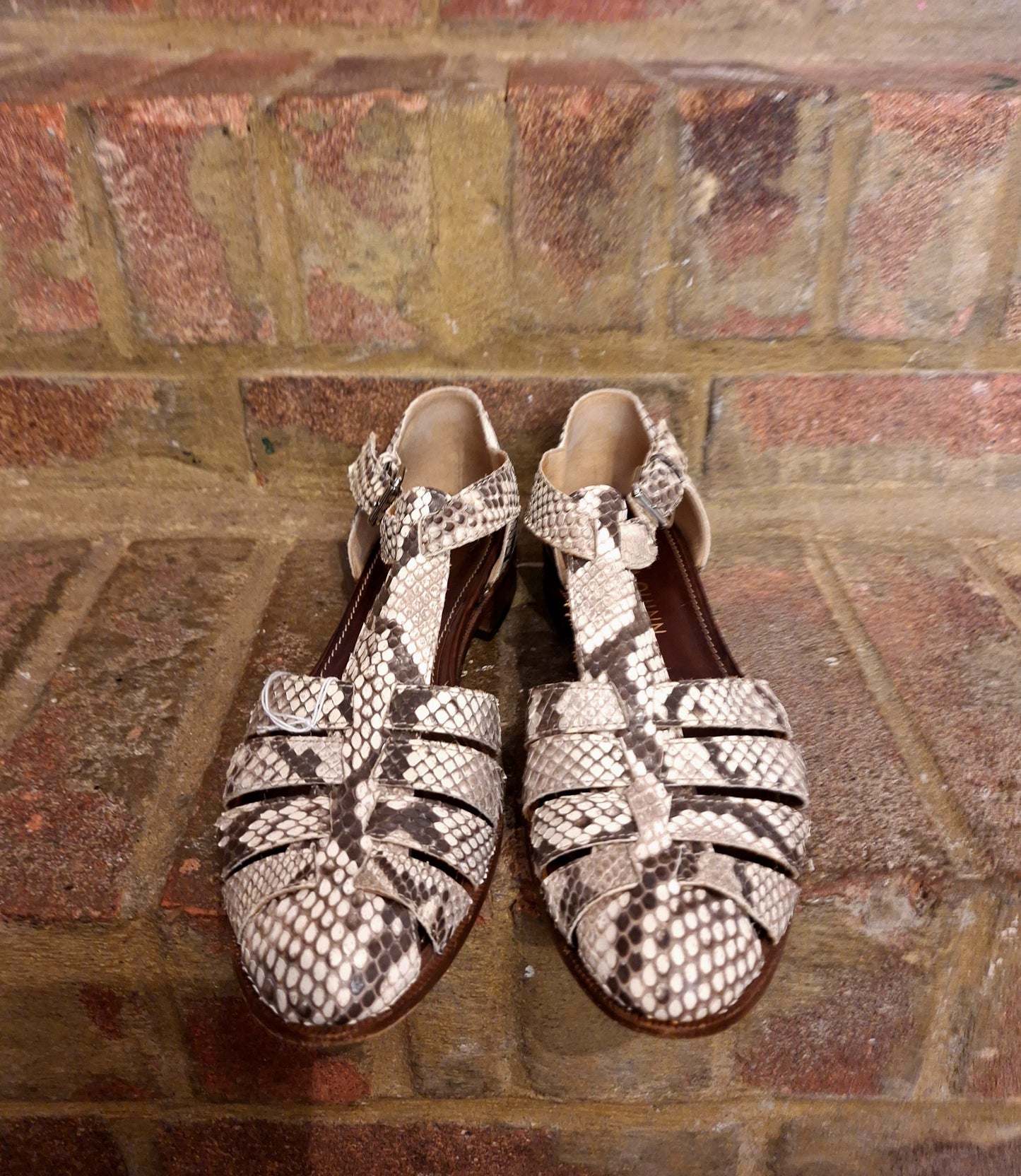 Cecilia Quinn snake print shoes 5